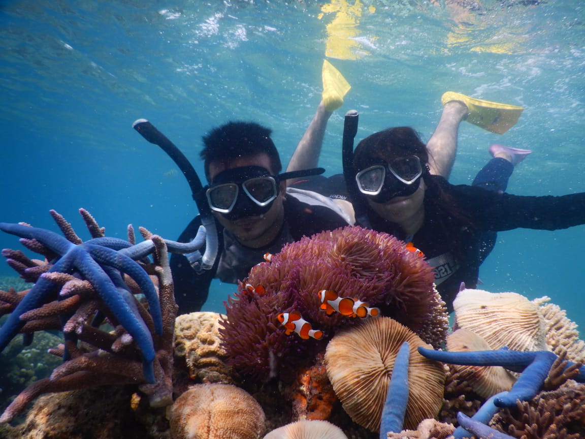 honeymoon karimunjawa