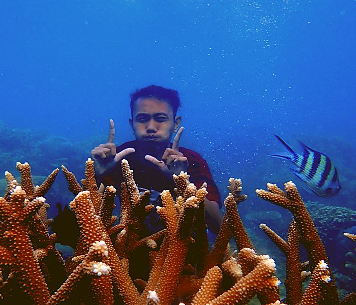 destinasi wisata karimunjawa