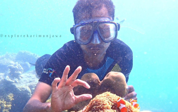 paket snorkeling karimunjawa