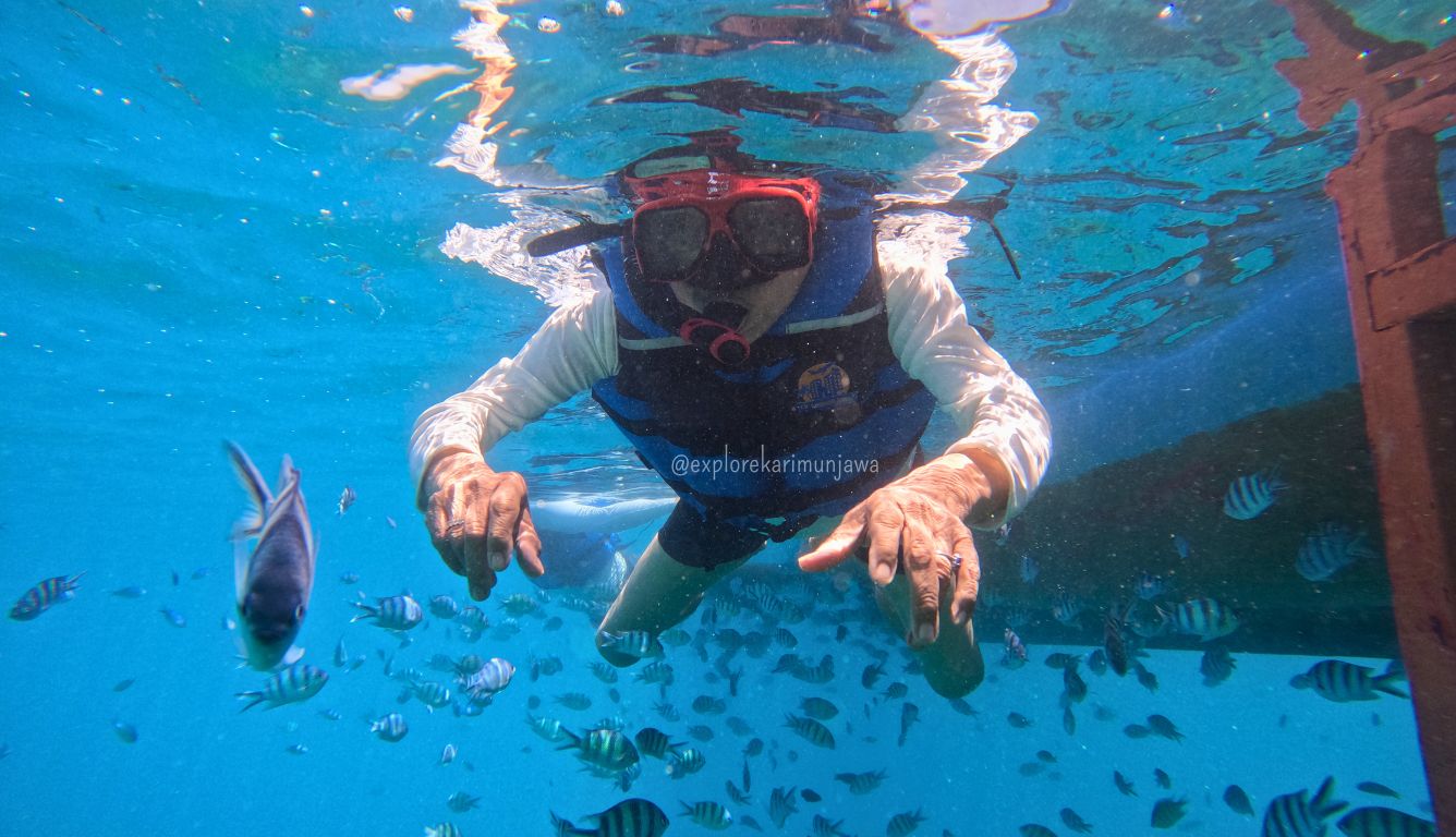 wisata karimunjawa pelni