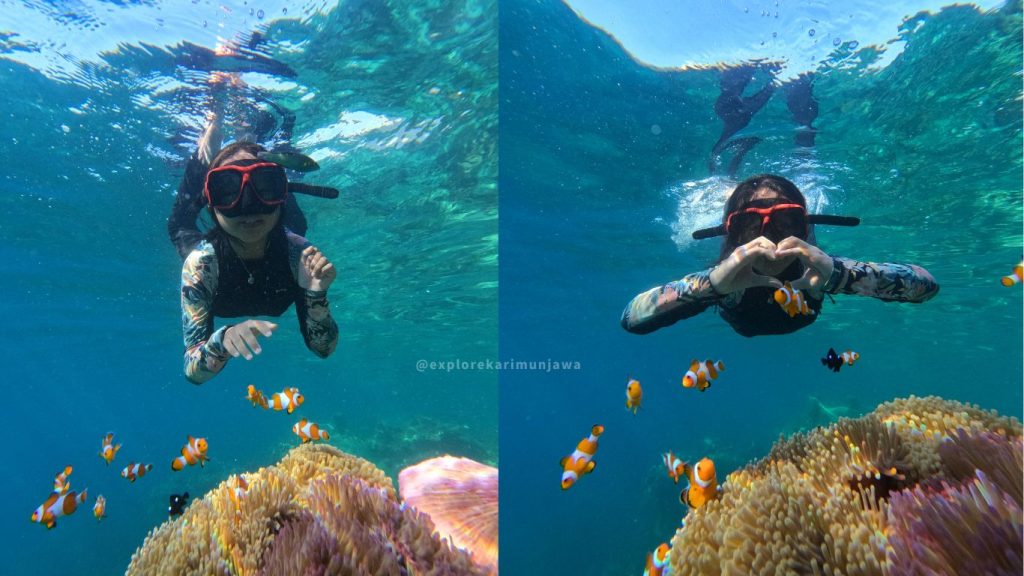 laut karimunjawa